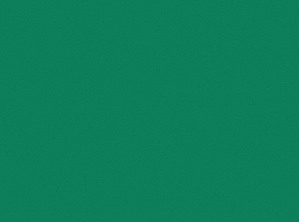 Линолеум Tarkett Omnisports Action 65 - Field Green